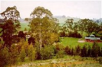 The Tasmanian Arboretum - Attractions Melbourne