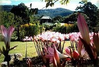 Blueberry Cottage Open Gardens - Accommodation Australia
