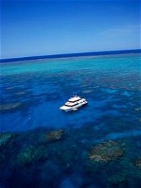 Norman Reef Dive Site - Attractions Brisbane