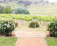 Brindabella Hills Winery - Foster Accommodation