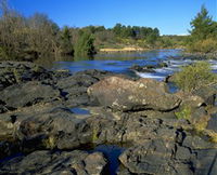 Pine Island to Point Hut Reserve - eAccommodation