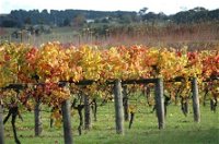Apsley Gorge Vineyard - Attractions Melbourne