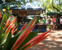 Nightcliff Markets - QLD Tourism