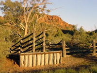 Illamurta Springs Conservation Reserve - Attractions Perth