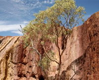 Ochre Pits - Gold Coast Attractions