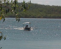 Manton Dam Recreation Area - Accommodation Brisbane