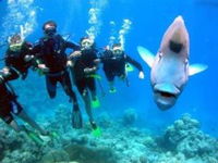 The Aarhus Dive Site - Accommodation Airlie Beach