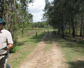 Coombabah QLD Darwin Tourism