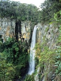 Gondwana Rainforests of Australia - Accommodation Rockhampton