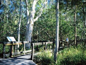 Noosa Heads QLD Accommodation Cooktown