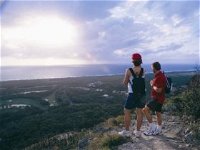 Mount Coolum National Park - Accommodation Cooktown