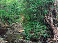 Mudlo National Park - Accommodation NT