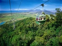 Skyrail Rainforest Cableway - Accommodation Newcastle