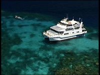 Fish Bowl Dive Site - Attractions