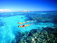 Northern Great Barrier Reef - Accommodation Sunshine Coast