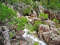 Crows Nest National Park - Accommodation Newcastle