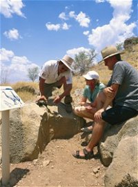Riversleigh Fossil Fields - Accommodation Redcliffe