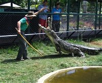 Snakes Downunder Reptile Park and Zoo - Accommodation BNB