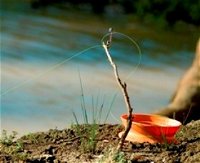 Charleville - Mangalore Warrego River Fishing Spot - Accommodation Newcastle