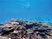 Australian Institute of Marine Science - Tourism Bookings WA