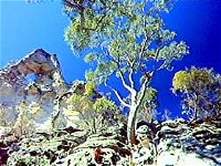 Mount Moffatt Section - Carnarvon National Park - Port Augusta Accommodation