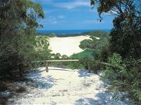 Lake Wabby Track - Attractions