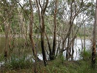 Mount Rooper Circuit and Swamp Bay Track - Find Attractions
