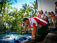 The Living Reef on Daydream Island - Tourism Canberra