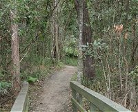 Springwood Conservation Park - Accommodation Redcliffe