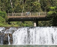 Malanda Falls Conservation Park - Accommodation Newcastle