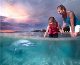 Tangalooma QLD Find Attractions