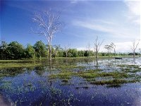 Tyto Wetlands - Accommodation Rockhampton