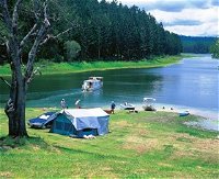 Danbulla National Park and Danbulla State Forest - Accommodation Nelson Bay