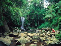 Tamborine National Park - Attractions Brisbane
