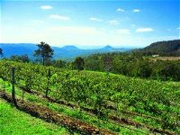 Preston Peak Wines - Tourism Caloundra