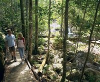 Book Eungella QLD Attractions Accommodation Mooloolaba Accommodation Mooloolaba