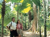 Licuala State Forest - Redcliffe Tourism