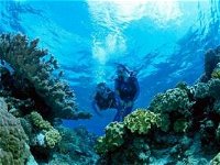 Coral Gardens Dive Site - Accommodation Kalgoorlie