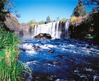 Millstream Falls National Park - QLD Tourism