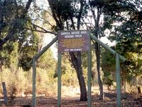 Carroll Nature Reserve Kokoda Track - Accommodation Mooloolaba