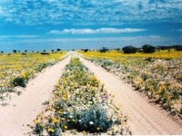 Birdsville Track - QLD Tourism