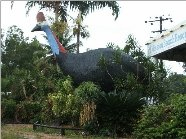 The Big Cassowary - Redcliffe Tourism