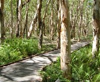 The Kommo Toera Trail - Whitsundays Tourism