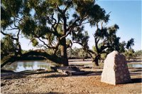 Burke and Wills Dig Tree - Accommodation NT