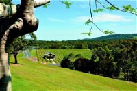Sirromet Winery - Accommodation Coffs Harbour