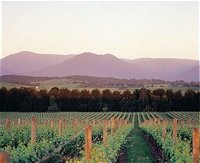 Domaine Chandon - Accommodation Cooktown