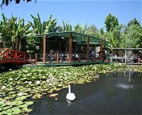 Blue Lotus Water Garden - Accommodation Resorts