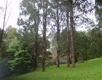 Mount Dandenong Arboretum - Broome Tourism