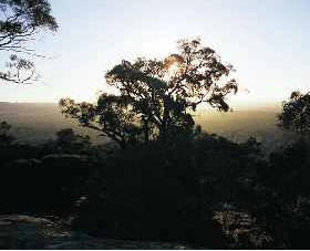 Ivanhoe East VIC Accommodation Great Ocean Road