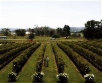 Rochford Wines - Attractions Melbourne